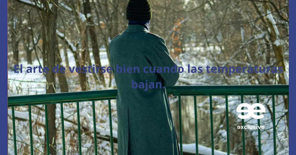 Hombre con abrigo gris observando un paisaje invernal, reflejo del estilo urbano y elegante de EE Exclusive.